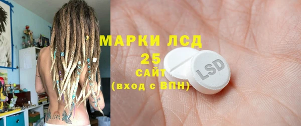 гашик Бородино