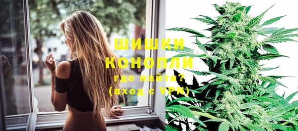 гашик Бородино