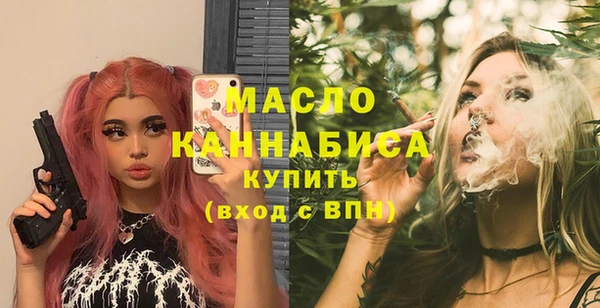 гашик Бородино