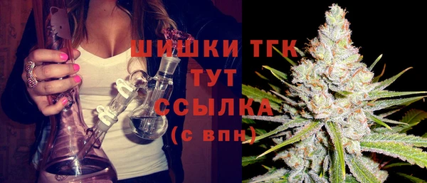 гашик Бородино
