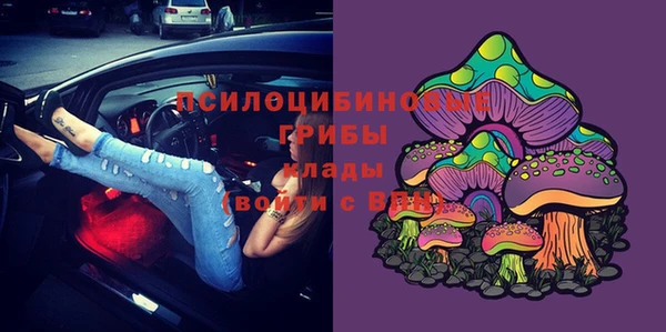 гашик Бородино