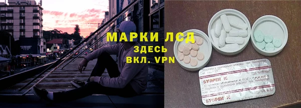 гашик Бородино
