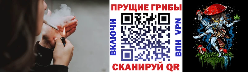 продажа наркотиков  Рыбинск  Псилоцибиновые грибы GOLDEN TEACHER 
